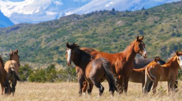 adobestock_50736957