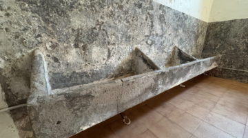 processed-E3F267CC-8D3E-4733-BAD8-1E87B8A98F00-2048x1537